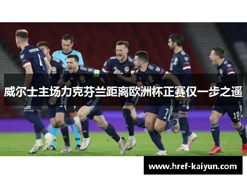 威尔士主场力克芬兰距离欧洲杯正赛仅一步之遥